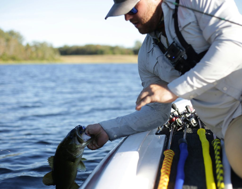 Bass Fishing Unsplash